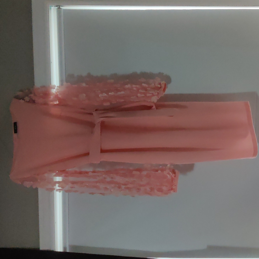 Beautiful dress - Picture 3 of 3